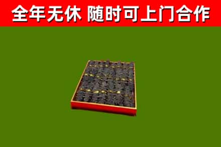 清流回收海参